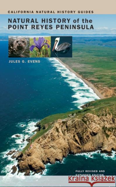 Natural History of the Point Reyes Peninsula: Volume 94 Evens, Jules 9780520254671 University of California Press