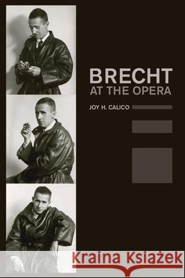 Brecht at the Opera: Volume 9 Calico, Joy H. 9780520254824 University of California Press