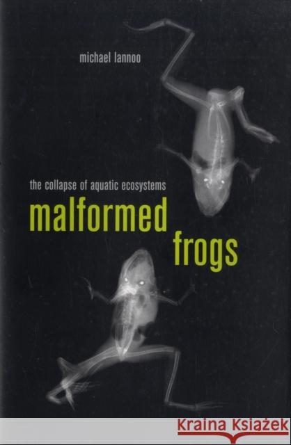 Malformed Frogs: The Collapse of Aquatic Ecosystems Lannoo, Michael 9780520255883 University of California Press