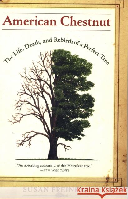 American Chestnut: The Life, Death, and Rebirth of a Perfect Tree Freinkel, Susan 9780520259942