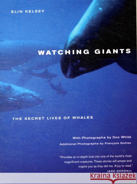 Watching Giants: The Secret Lives of Whales Kelsey, Elin 9780520261587 University of California Press