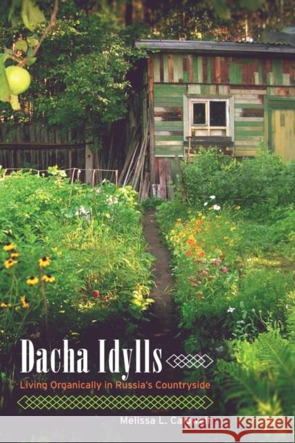 Dacha Idylls: Living Organically in Russia's Countryside Caldwell, Melissa L. 9780520262843 University of California Press