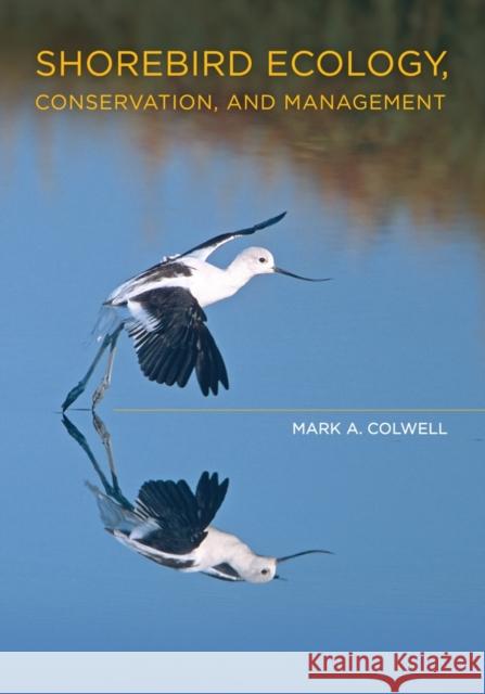 Shorebird Ecology, Conservation, and Management Mark A. Colwell 9780520266407 University of California Press