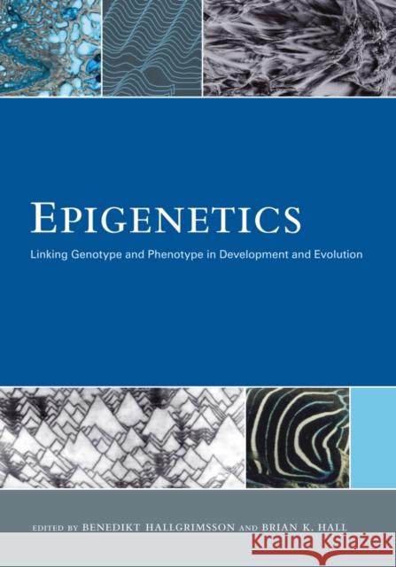 Epigenetics: Linking Genotype and Phenotype in Development and Evolution Hallgrimsson, Benedikt 9780520267091 University of California Press