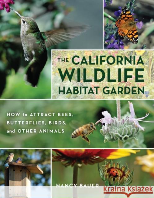 The California Wildlife Habitat Garden: How to Attract Bees, Butterflies, Birds, and Other Animals Bauer, Nancy 9780520267817