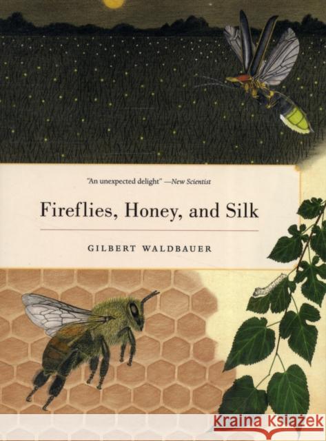 Fireflies, Honey, and Silk Gilbert Waldbauer 9780520268074