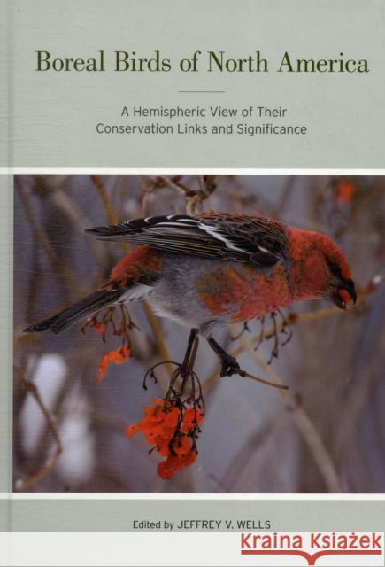 Boreal Birds of North America: A Hemispheric View of Their Conservation Links and Significancevolume 41 Wells, Jeffrey V. 9780520271005 University of California Press