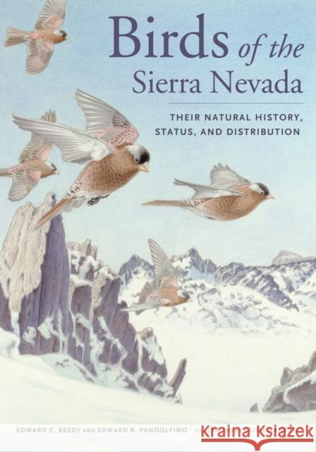 Birds of the Sierra Nevada: Their Natural History, Status, and Distribution Beedy, Ted 9780520274938 0