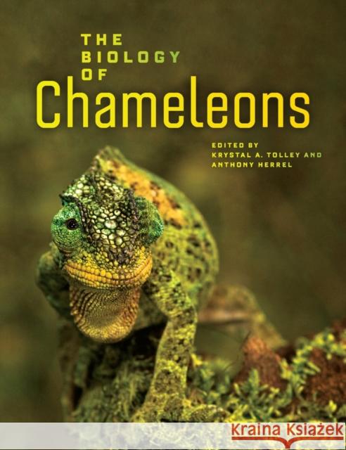 The Biology of Chameleons Krystal A. Tolley Anthony Herrel  9780520276055 University of California Press