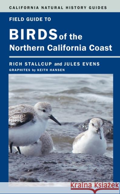 Field Guide to Birds of the Northern California Coast: Volume 109 Stallcup, Rich 9780520276178 University of California Press