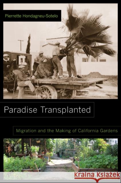 Paradise Transplanted: Migration and the Making of California Gardens Hondagneu–sotel, Pierrette 9780520277779