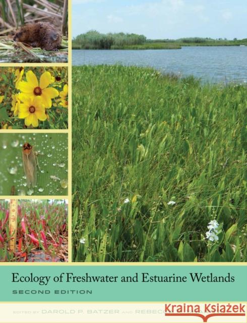 Ecology of Freshwater and Estuarine Wetlands Batzer, Darold P.; Sharitz, Rebecca R. 9780520278585