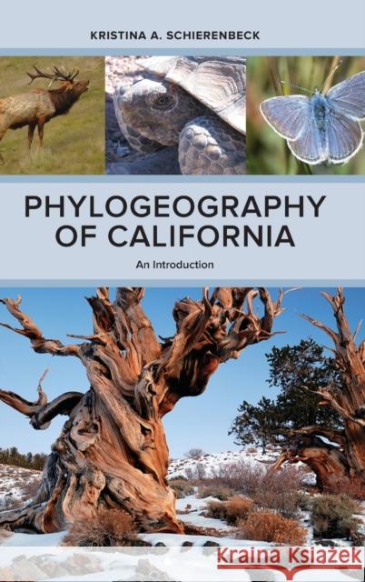 Phylogeography of California: An Introduction Schierenbeck, Kristina A. 9780520278875 John Wiley & Sons