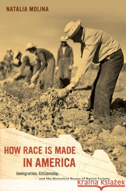 How Race Is Made in America: Immigration, Citizenship, and the Historical Power of Racial Scripts Volume 38 Molina, Natalia 9780520280083