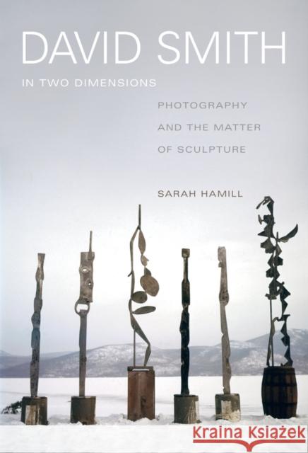 David Smith in Two Dimensions: Photography and the Matter of Sculpture Hamill, Sarah 9780520280342