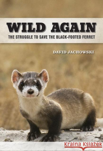 Wild Again: The Struggle to Save the Black-Footed Ferret Jachowski, David S. 9780520281653