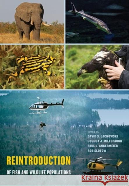 Reintroduction of Fish and Wildlife Populations David S. Jachowski Joshua J. Millspaugh Paul L. Angermeier 9780520284616