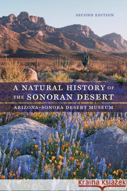 A Natural History of the Sonoran Desert Arizona–sonora, ; Phillips, Steven John; Comus, Patricia Wentwo 9780520287471