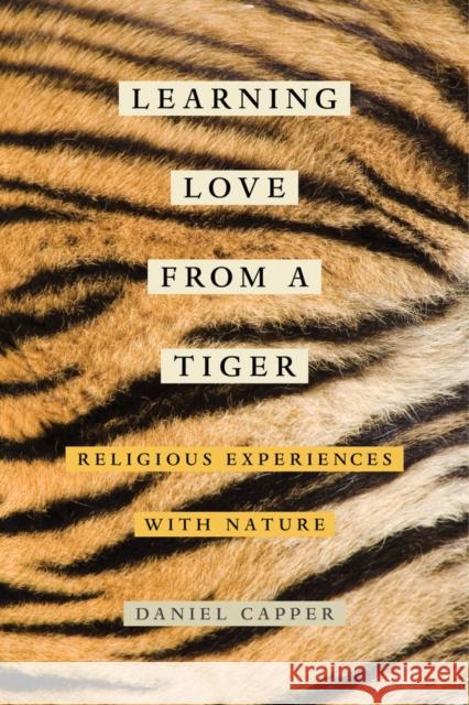 Learning Love from a Tiger: Religious Experiences with Nature Daniel Capper 9780520290426 University of California Press