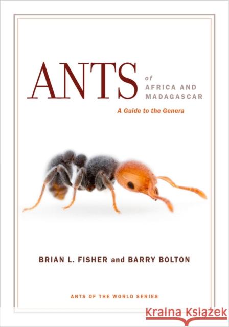 Ants of Africa and Madagascar: A Guide to the Genera Brian L., PH. Fisher Barry Bolton 9780520290891