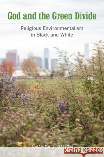 God and the Green Divide: Religious Environmentalism in Black and White Amanda J. Baugh 9780520291171 University of California Press