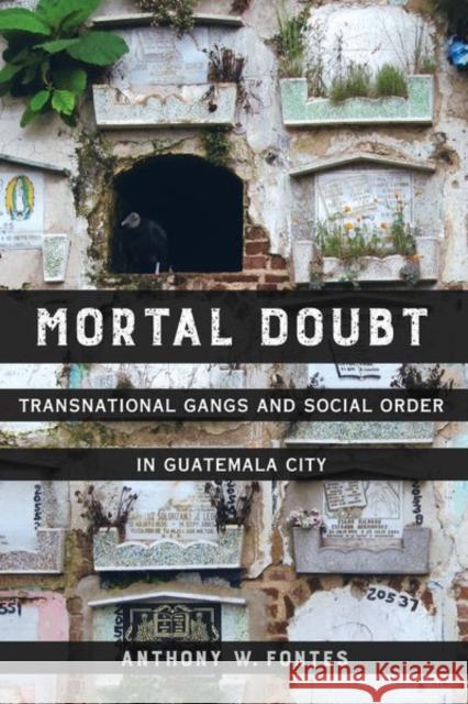 Mortal Doubt: Transnational Gangs and Social Order in Guatemala Cityvolume 1 Fontes, Anthony W. 9780520297081 University of California Press