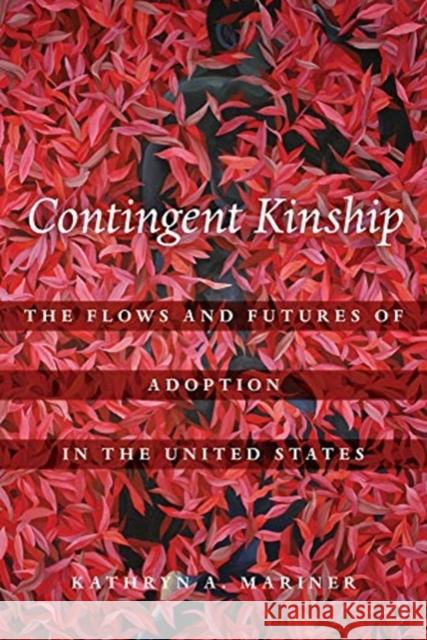 Contingent Kinship: The Flows and Futures of Adoption in the United Statesvolume 2 Mariner, Kathryn A. 9780520299566 University of California Press