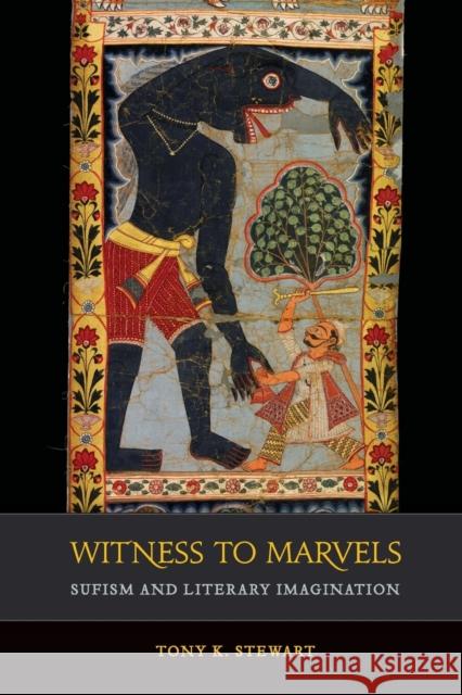 Witness to Marvels: Sufism and Literary Imagination Volume 2 Stewart, Tony K. 9780520306332