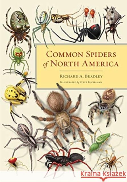 Common Spiders of North America Richard A. Bradley Steve Buchanan 9780520315310