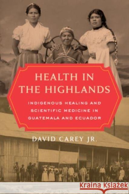 Health in the Highlands: Indigenous Healing and Scientific Medicine in Guatemala and Ecuador Carey, David 9780520344785 University of California Press