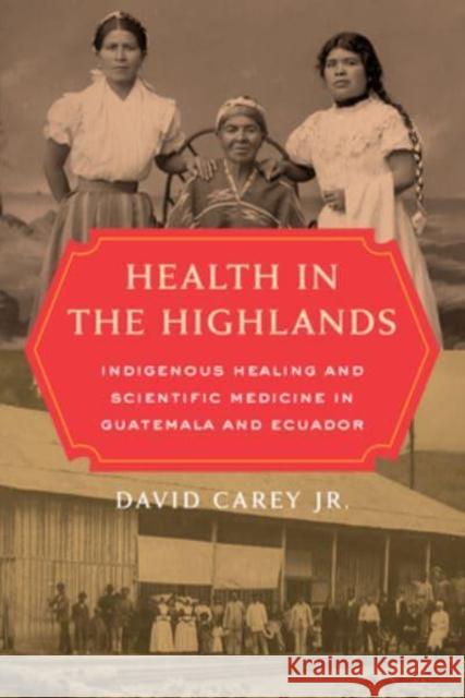 Health in the Highlands: Indigenous Healing and Scientific Medicine in Guatemala and Ecuador Carey, David 9780520344792 University of California Press