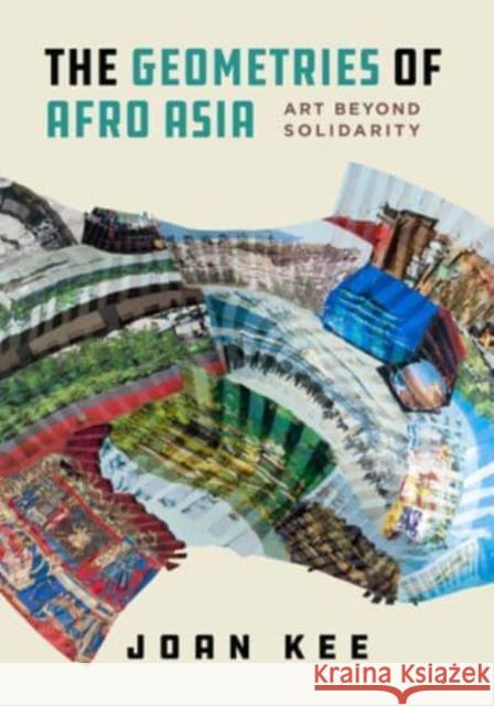 The Geometries of Afro Asia: Art Beyond Solidarity Kee, Joan 9780520359567 University of California Press
