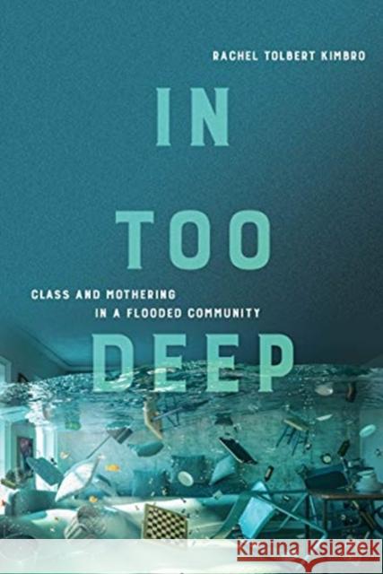 In Too Deep: Class and Mothering in a Flooded Community Rachel Kimbro 9780520377721 University of California Press