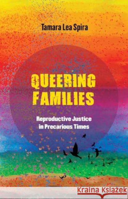 Queering Families: Reproductive Justice in Precarious Times Tamara Lea Spira 9780520386198 University of California Press