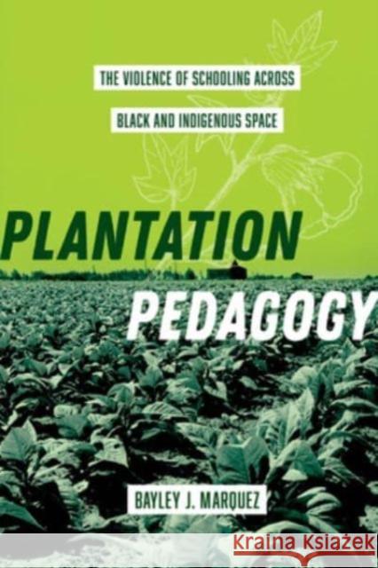 Plantation Pedagogy: The Violence of Schooling across Black and Indigenous Space Bayley J. Marquez 9780520393707 University of California Press