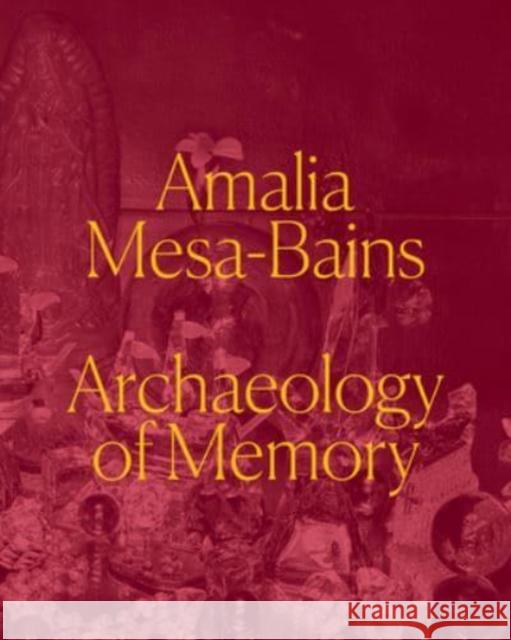 Amalia Mesa-Bains: Archaeology of Memory Maria Esther Fernandez 9780520395718 University of California Press