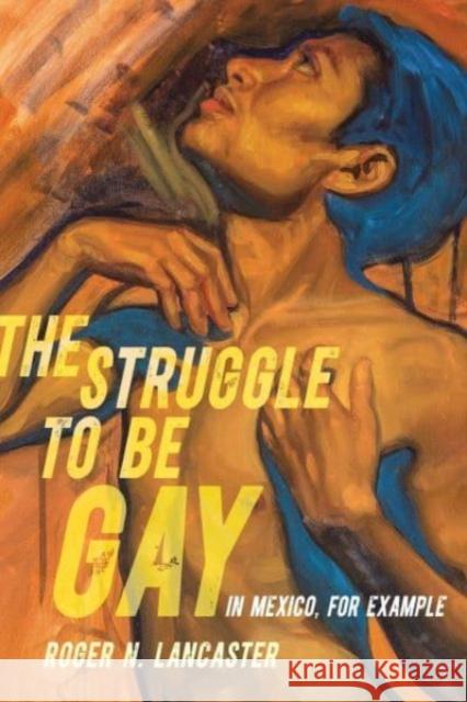 The Struggle to Be Gay-in Mexico, for Example Roger N. Lancaster 9780520397569 University of California Press