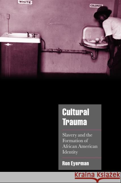 Cultural Trauma: Slavery and the Formation of African American Identity Eyerman, Ron 9780521004374 Cambridge University Press