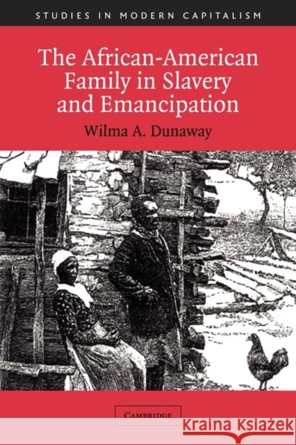 The African-American Family in Slavery and Emancipation Wilma A. Dunaway Maurice Aymard Jacques Revel 9780521012164