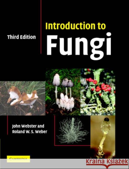 Introduction to Fungi John Webster Roland W. S. Weber 9780521014830 CAMBRIDGE UNIVERSITY PRESS