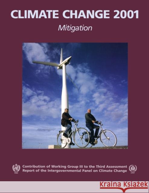 Climate Change 2001: Mitigation: Contribution of Working Group III to the Third Assessment Report of the Intergovernmental Panel on Climate Change Metz, Bert 9780521015028