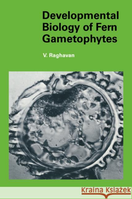 Developmental Biology of Fern Gametophytes Valayamghat Raghavan V. Raghavan Jonathan B. L. Bard 9780521017251