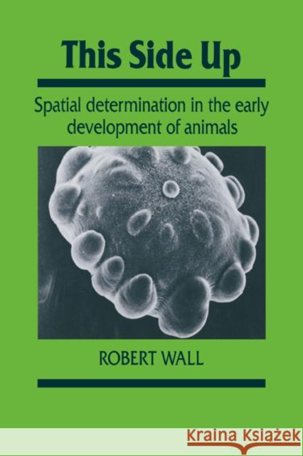 This Side Up: Spatial Determination in the Early Development of Animals Wall, Robert 9780521017268 Cambridge University Press