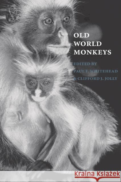 Old World Monkeys Paul F. Whitehead Clifford J. Jolly 9780521028097