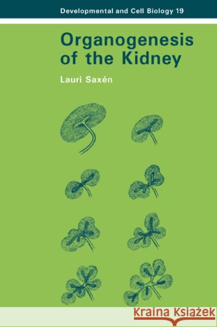 Organogenesis of the Kidney Lauri Saxen Jonathan B. L. Bard Peter W. Barlow 9780521035088 Cambridge University Press