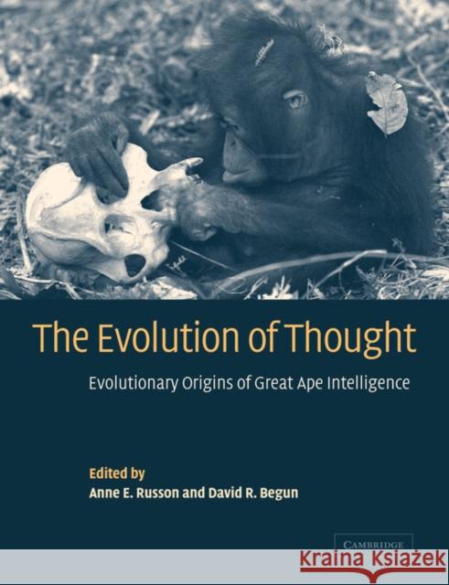 The Evolution of Thought: Evolutionary Origins of Great Ape Intelligence Russon, Anne E. 9780521039925 Cambridge University Press