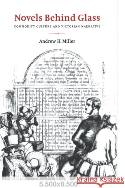 Novels Behind Glass: Commodity Culture and Victorian Narrative Miller, Andrew H. 9780521068345 Cambridge University Press