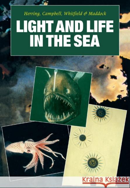 Light and Life in the Sea Peter J. Herring Anthony K. Campbell Michael Whitfield 9780521105484