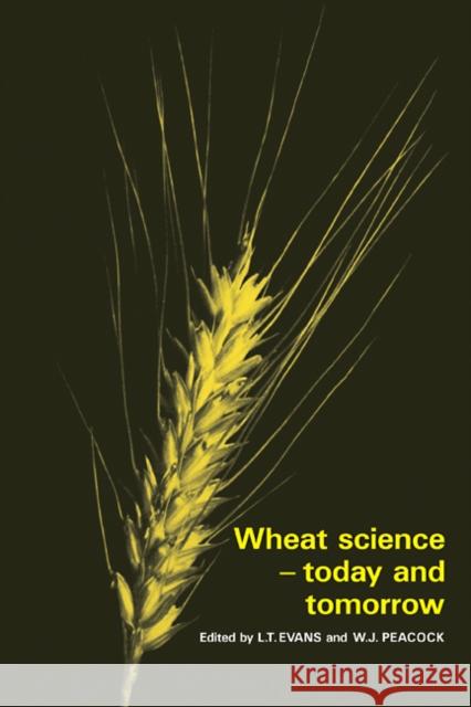 Wheat Science - Today and Tomorrow L. T. Evans W. J. Peacock 9780521105934 Cambridge University Press