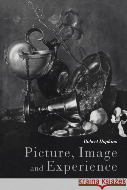 Picture, Image and Experience: A Philosophical Inquiry Hopkins, Robert 9780521109826